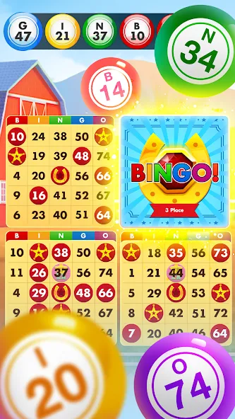 Bingo Country Boys: Tournament (Бинго Кантри Бойз)  [МОД Menu] Screenshot 2