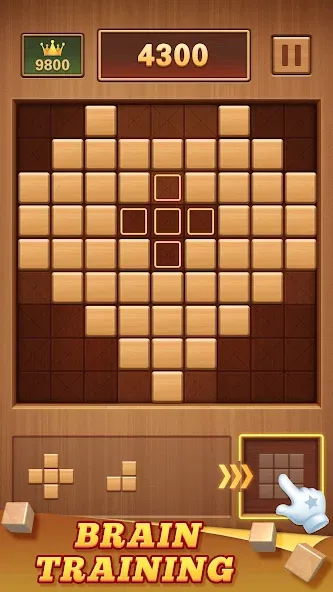 Wood Block 99 - Sudoku Puzzle (Вуд Блок 99)  [МОД Menu] Screenshot 2