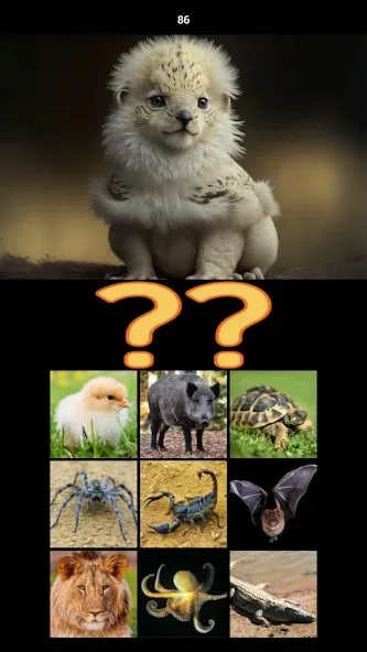 Hybrid Animals Crazy Lab Quiz (Хибридные животные Сумасшедшая лаборатория Викторина)  [МОД Все открыто] Screenshot 5