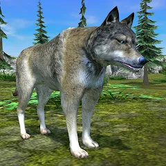 Скачать взлом Wolf Simulator - Animal Games  [МОД Бесконечные монеты] - полная версия apk на Андроид