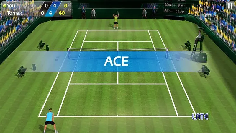 3D Tennis  [МОД Все открыто] Screenshot 2