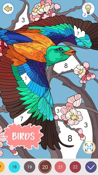 Color by Number: Coloring Book  [МОД Бесконечные деньги] Screenshot 4