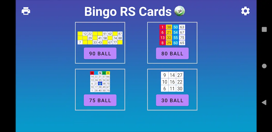 Bingo RS Cards (Бинго РС Карты)  [МОД Бесконечные монеты] Screenshot 1