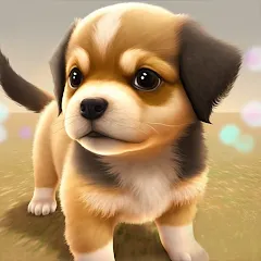 Скачать взломанную Dog Town: Puppy Pet Shop Games (Догтаун)  [МОД Бесконечные монеты] - полная версия apk на Андроид