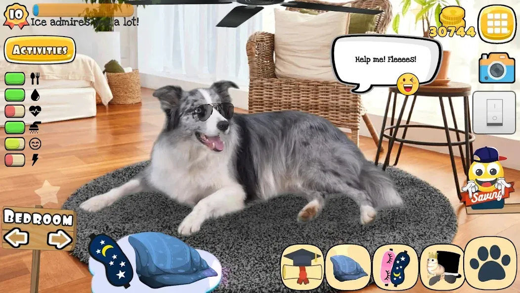 Adopt a pet : Corgi Games (Риал Петс бай Фруви)  [МОД Бесконечные монеты] Screenshot 5