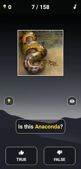 Animal Quiz: Guess the Animal  [МОД Бесконечные деньги] Screenshot 3