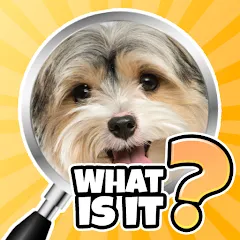 Взлом What is it? Pics Trivia Quiz  [МОД Unlimited Money] - последняя версия apk на Андроид