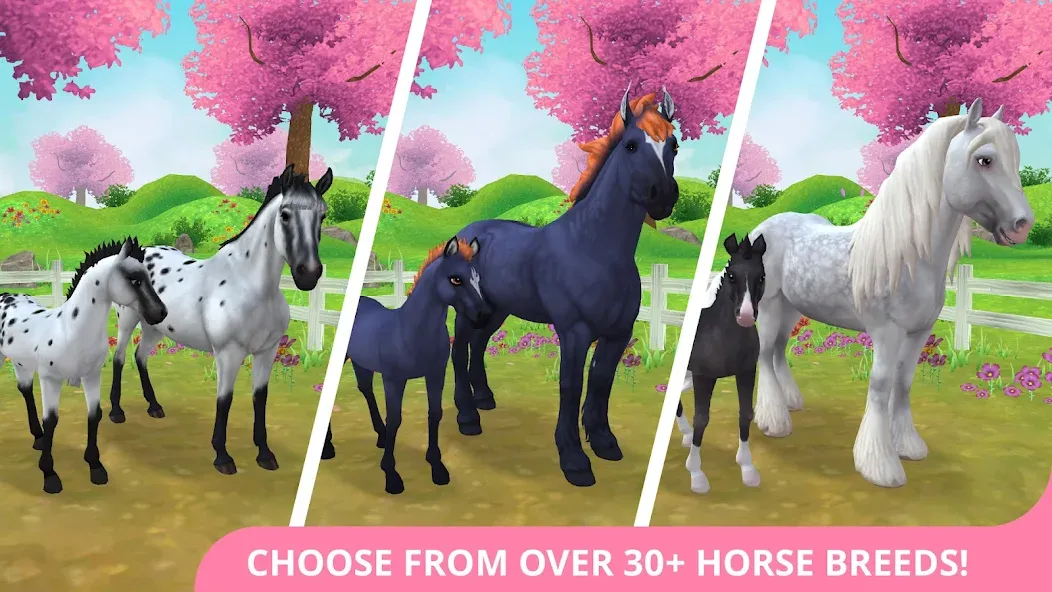 Star Stable Horses (СТар Стабл Хорсес)  [МОД Unlimited Money] Screenshot 1