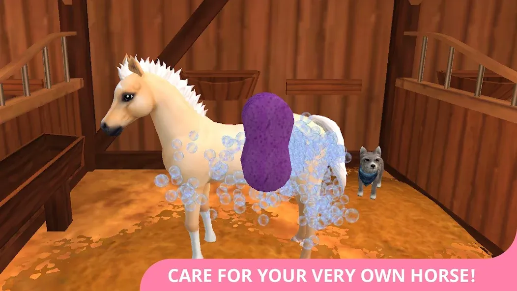 Star Stable Horses (СТар Стабл Хорсес)  [МОД Unlimited Money] Screenshot 2