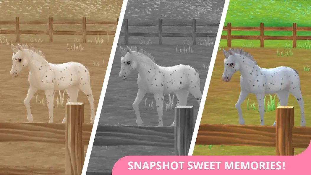 Star Stable Horses (СТар Стабл Хорсес)  [МОД Unlimited Money] Screenshot 4