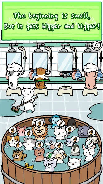 Animal Hot Springs  [МОД Unlocked] Screenshot 2