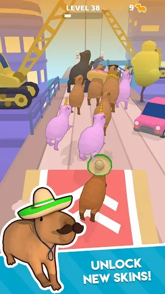 Capybara Rush (Капибара Раш)  [МОД Бесконечные деньги] Screenshot 3