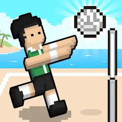 Скачать взлом Volley Random (Воллей Рэндом)  [МОД Все открыто] - полная версия apk на Андроид