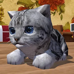 Взломанная Cute Pocket Cat 3D (Сьют Покет Кэт 3Д)  [МОД Бесконечные монеты] - полная версия apk на Андроид