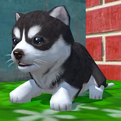 Скачать взломанную Cute Pocket Puppy 3D (Сьют Покет Паппи 3Д)  [МОД Много монет] - стабильная версия apk на Андроид