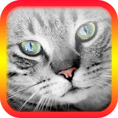 Скачать взлом Translator for Cats Prank  [МОД Много монет] - полная версия apk на Андроид