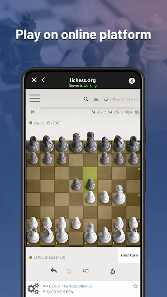 Chessnut (Честнат)  [МОД Все открыто] Screenshot 2