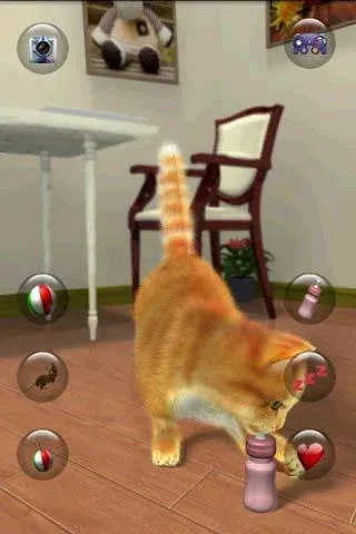 Talking Lovely Cat  [МОД Unlocked] Screenshot 5